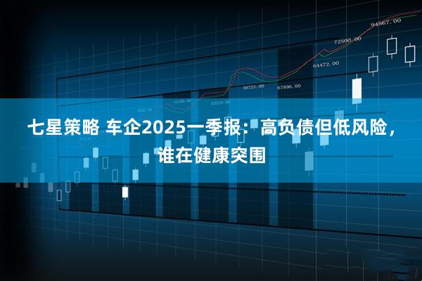 七星策略 车企2025一季报：高负债但低风险，谁在健康突围