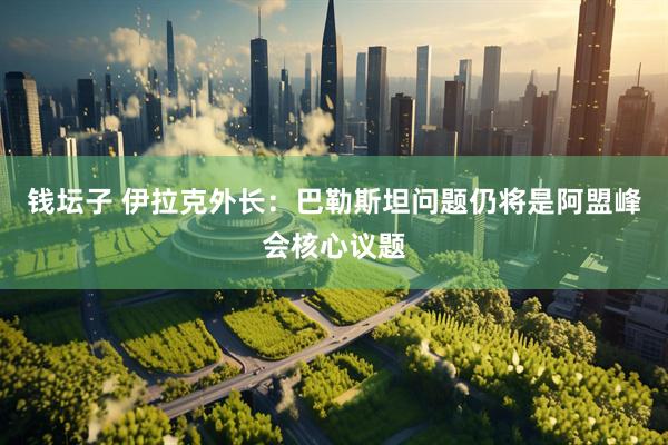 钱坛子 伊拉克外长：巴勒斯坦问题仍将是阿盟峰会核心议题