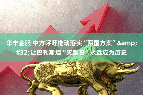 华丰金服 中方呼吁推动落实“两国方案”&#32;让巴勒斯坦“灾难日”永远成为历史