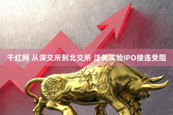 千红网 从深交所到北交所 泛美实验IPO接连受阻