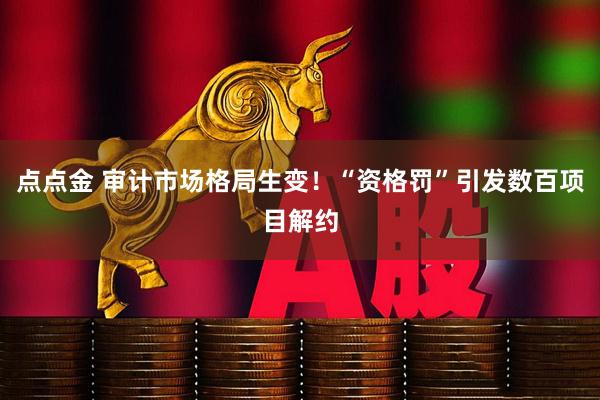 点点金 审计市场格局生变！“资格罚”引发数百项目解约