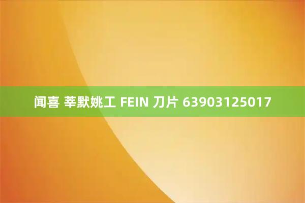 闻喜 莘默姚工 FEIN 刀片 63903125017